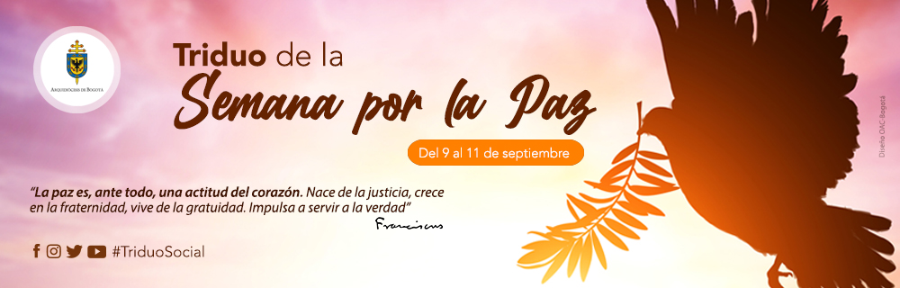 bannerpaz