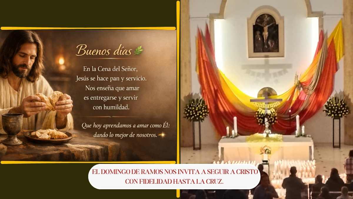 ordenación