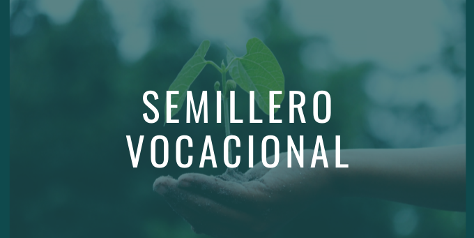 animación vocacional