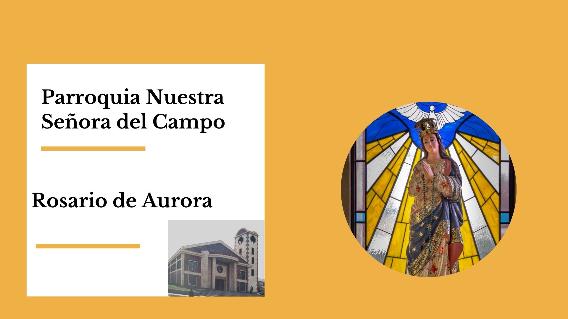 Devoción a Nuestra Señora la Virgen del Campo