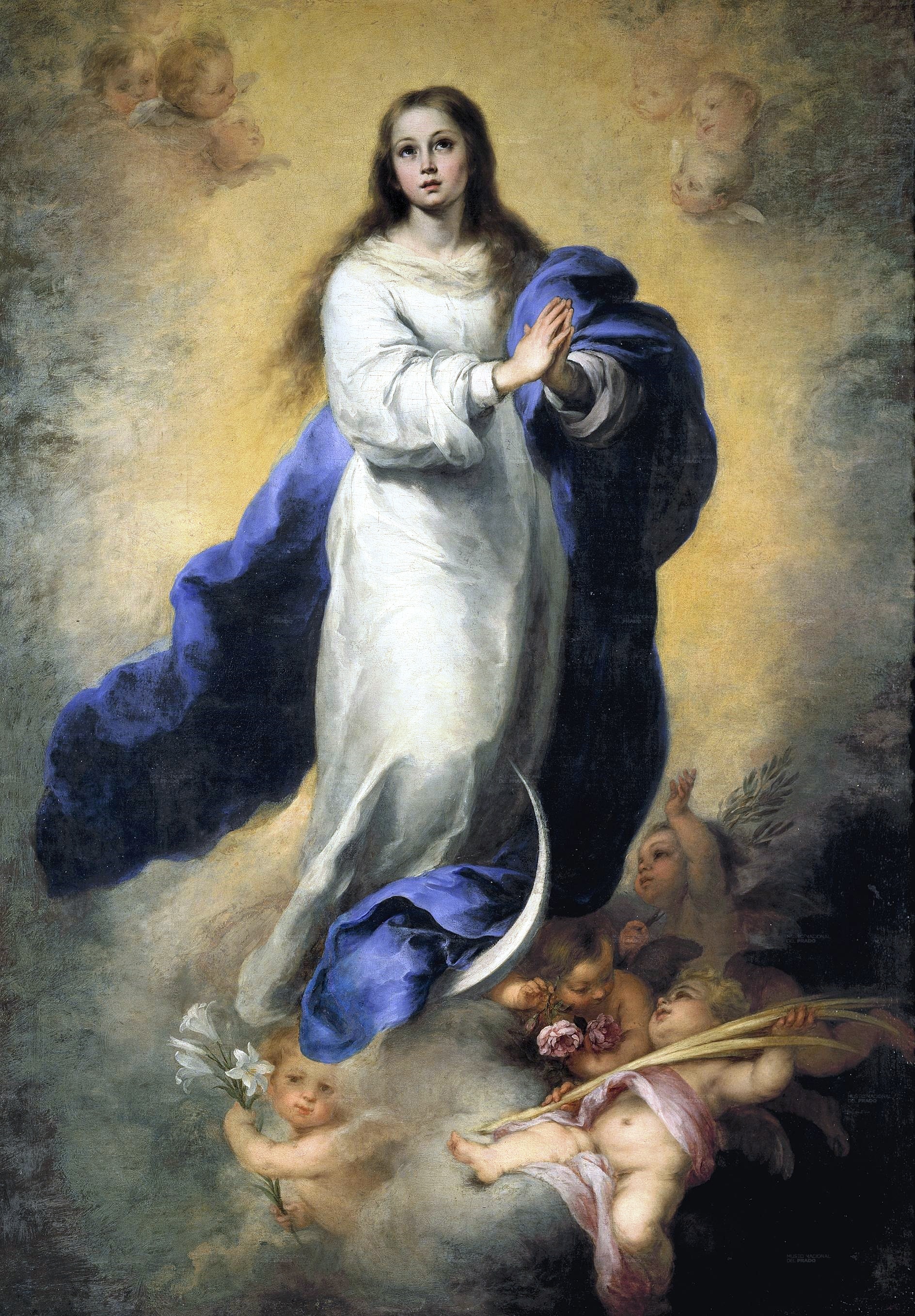 Inmaculada Cocepción