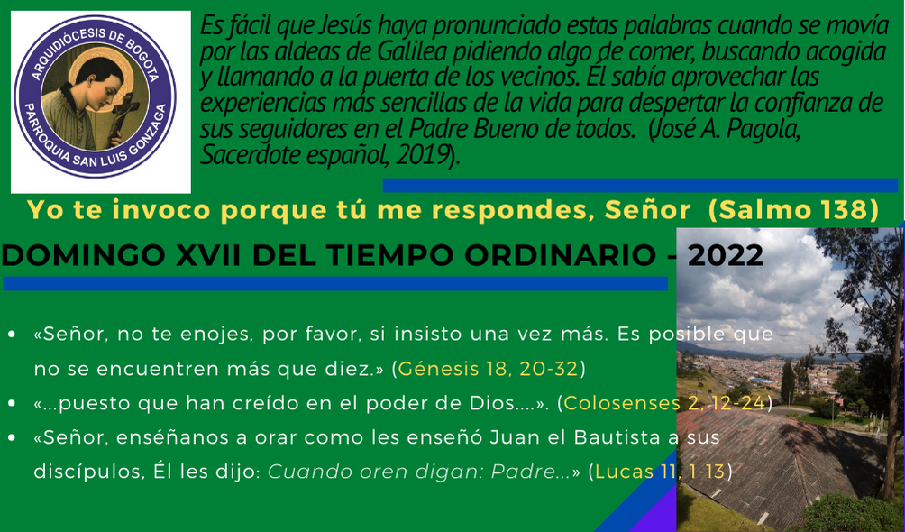 Domingo XVII TOC- 2022