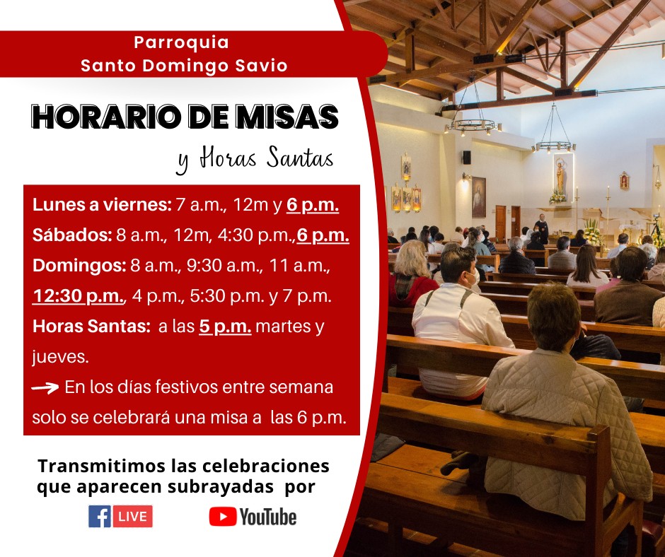 misas santo domingo savio