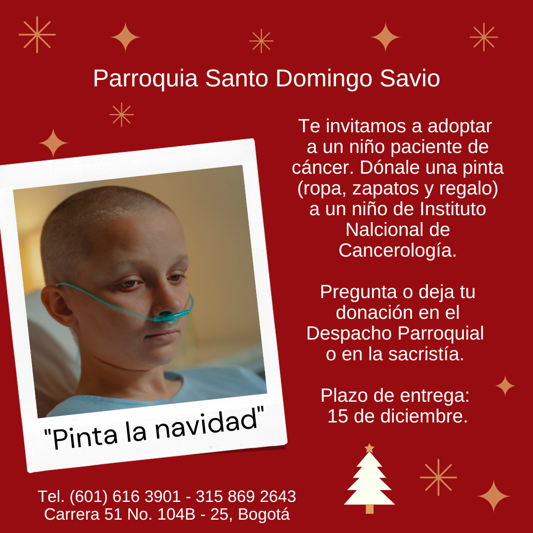 Pinta la navidad