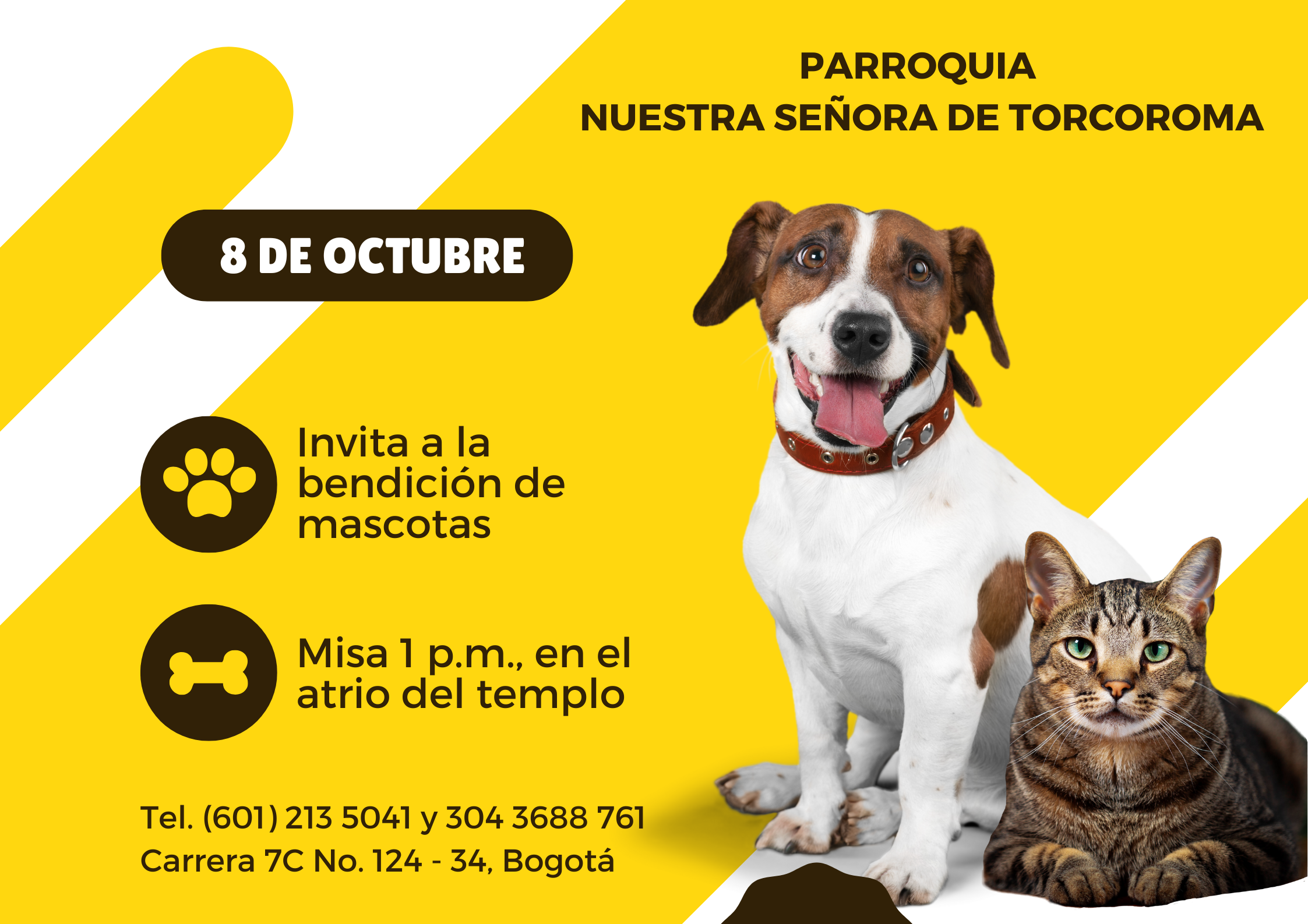 Bendición de mascotas