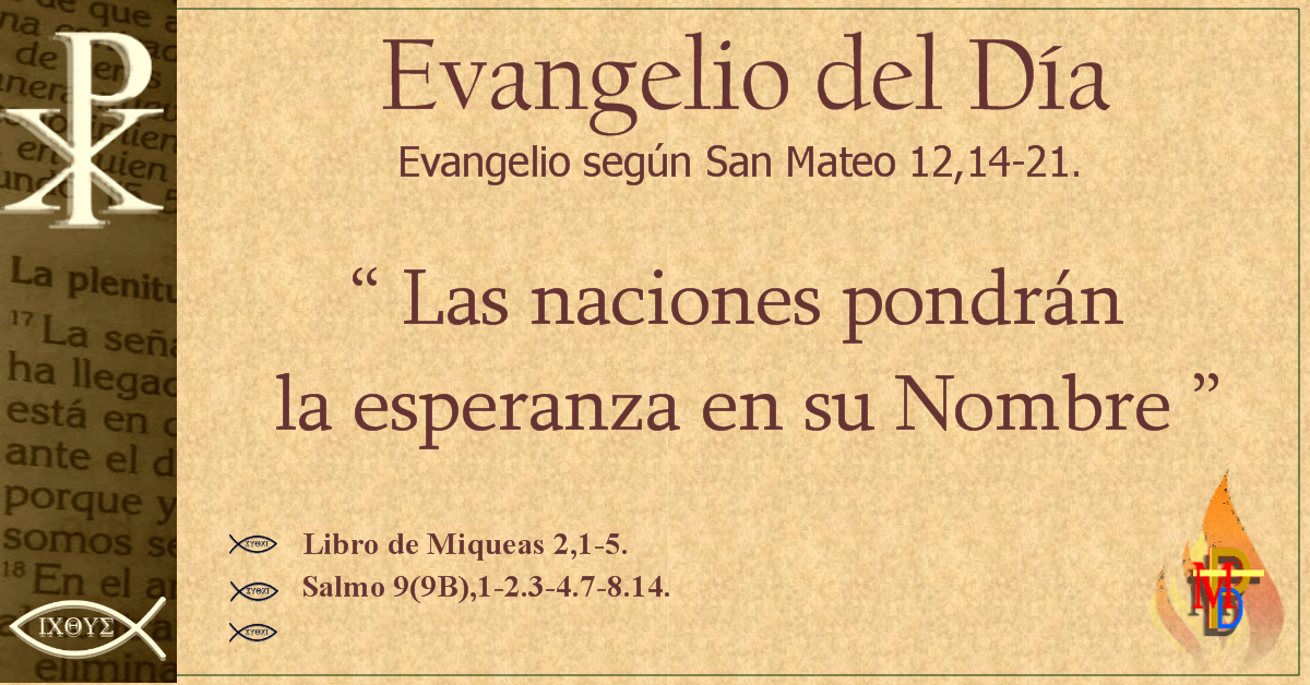 evangelio del dia