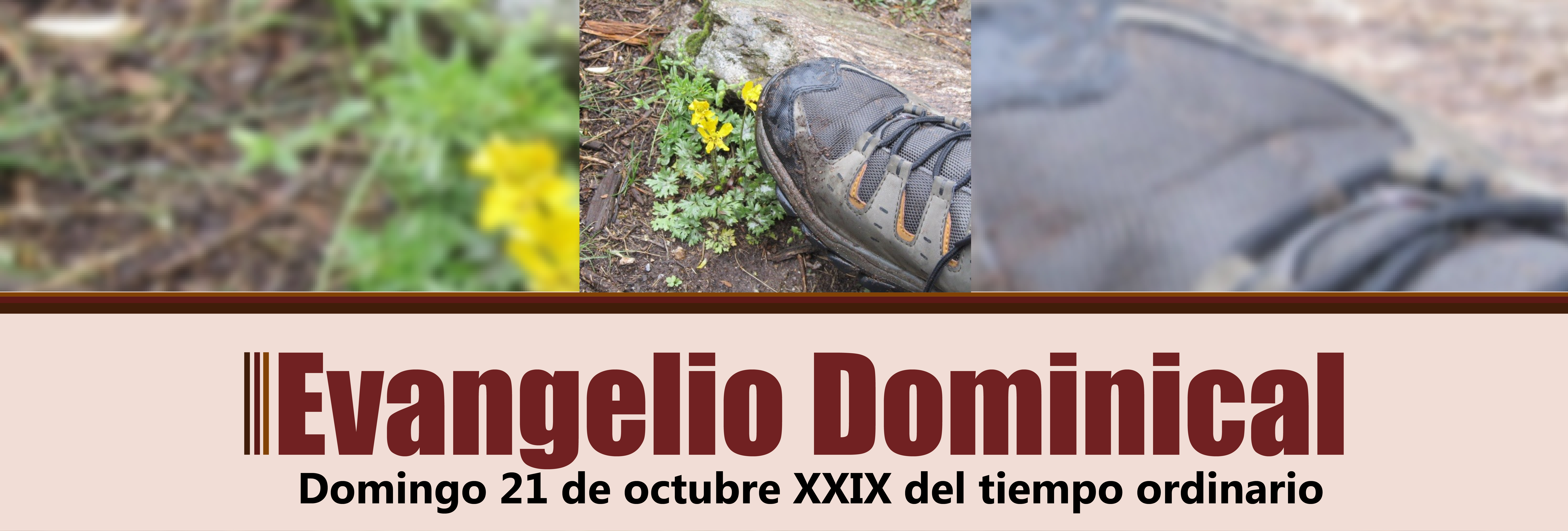 https://arquimedia.s3.amazonaws.com/28/2017/evangelio-dominical-21-octjpg.jpg