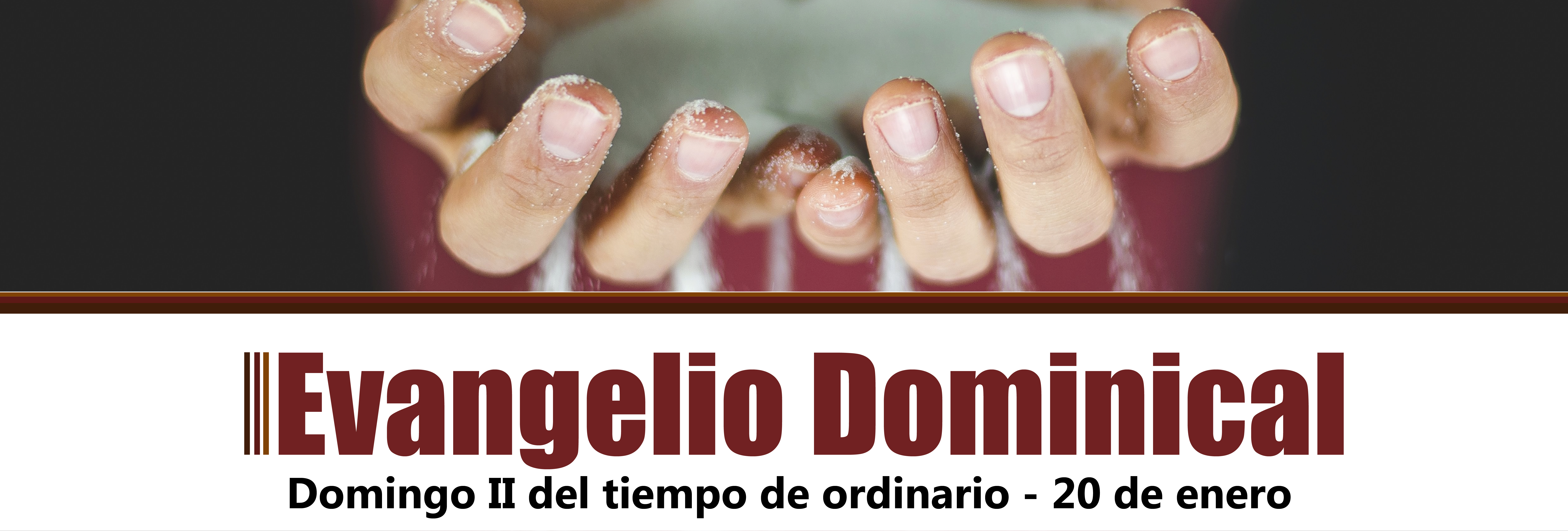 https://arquimedia.s3.amazonaws.com/28/imagenes-2018/evangelio-dominical-20-ene2019jpg.jpg