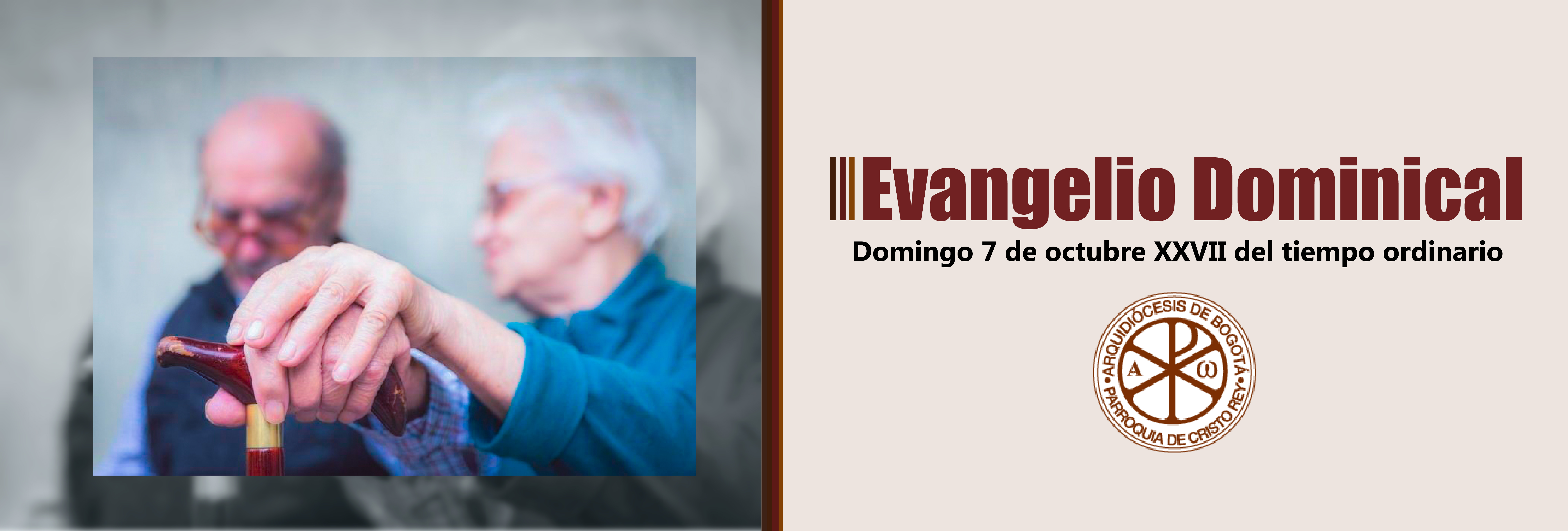 https://arquimedia.s3.amazonaws.com/28/2017/evangelio-dominical-5-octjpg.jpg