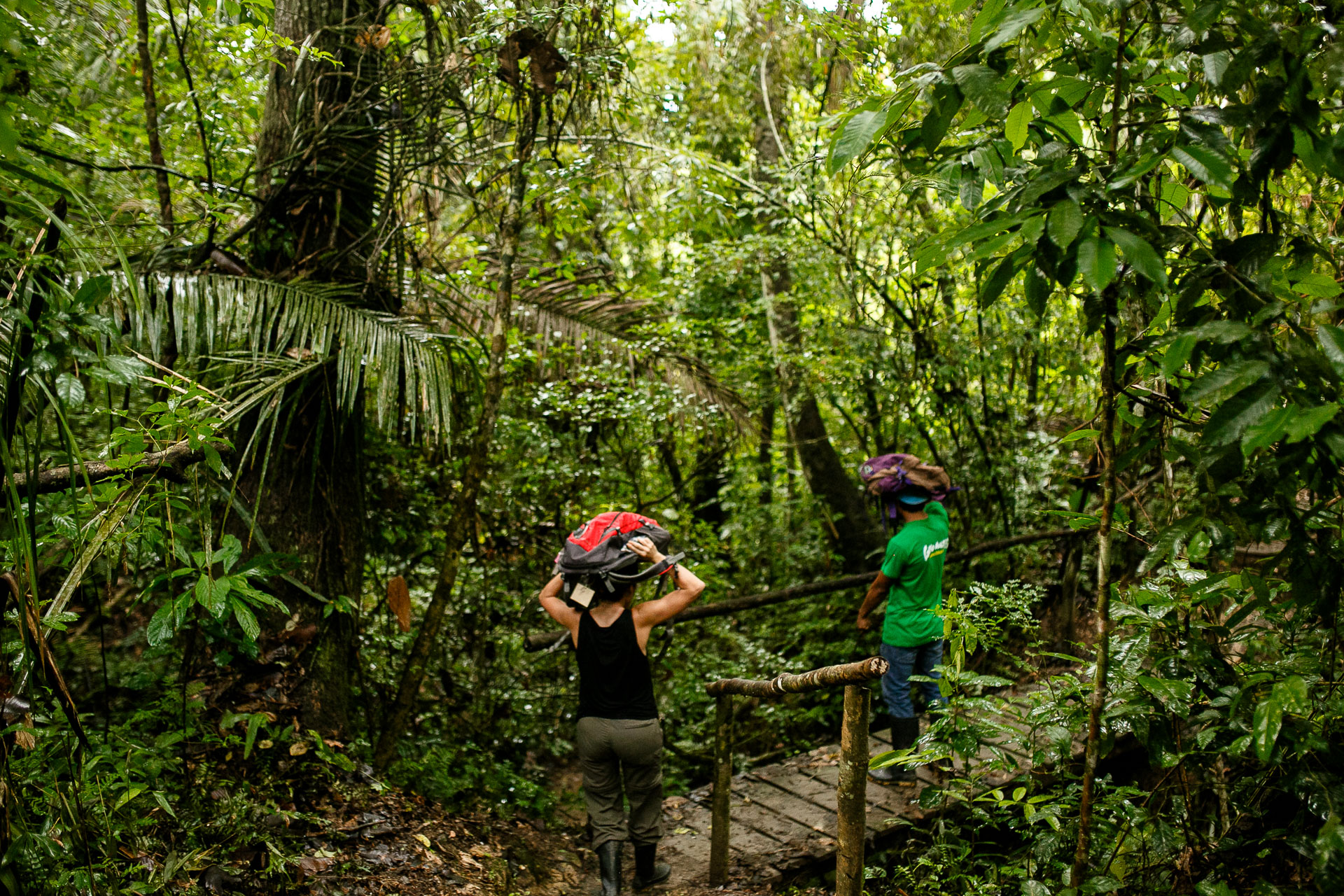 https://arquimedia.s3.amazonaws.com/27/noticias/amazonas-selvajpg.jpg