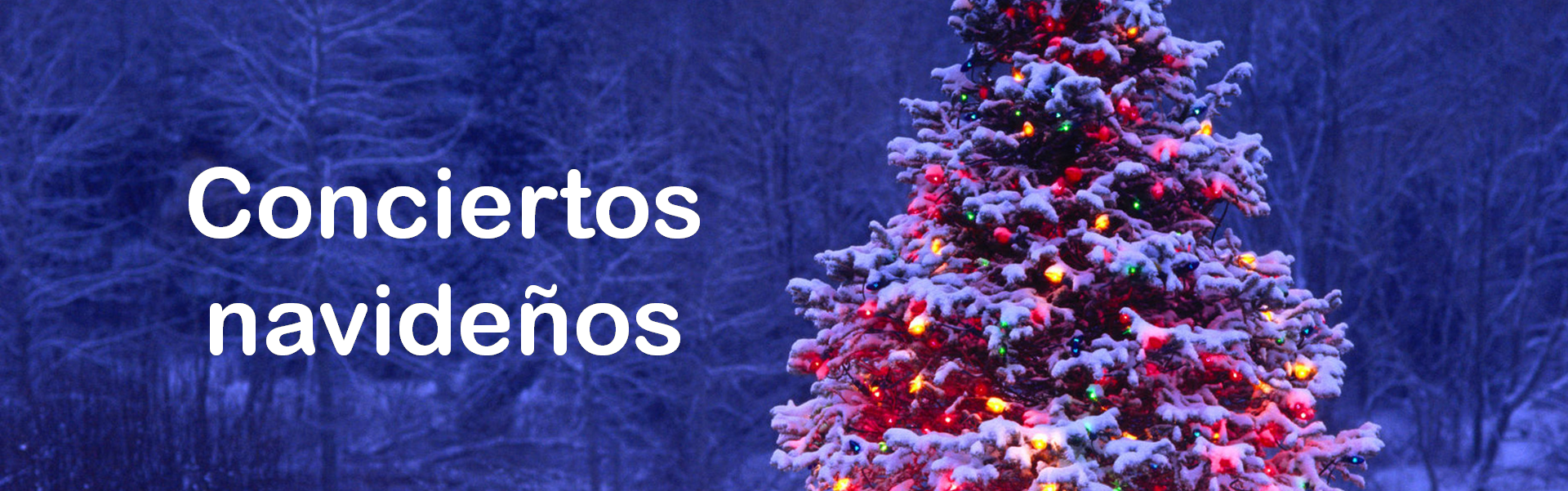 https://arquimedia.s3.amazonaws.com/27/actividades-parroquiales/conciertos--navidenos-fgpng.png