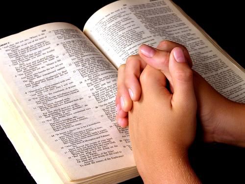 https://arquimedia.s3.amazonaws.com/256/formacion-catolica/biblia11jpg.jpg