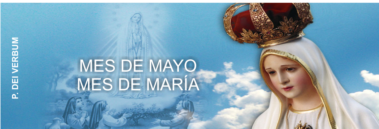 https://arquimedia.s3.amazonaws.com/256/formacion-catolica/dei-verbumpng.png