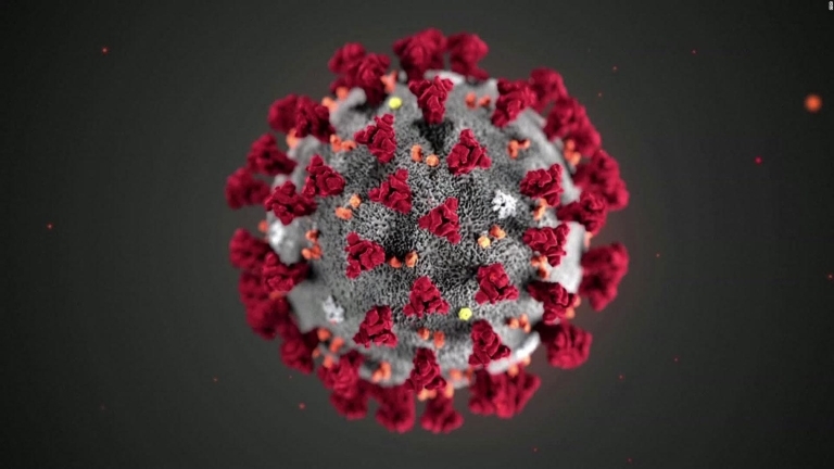 Imagen de Coronavirus