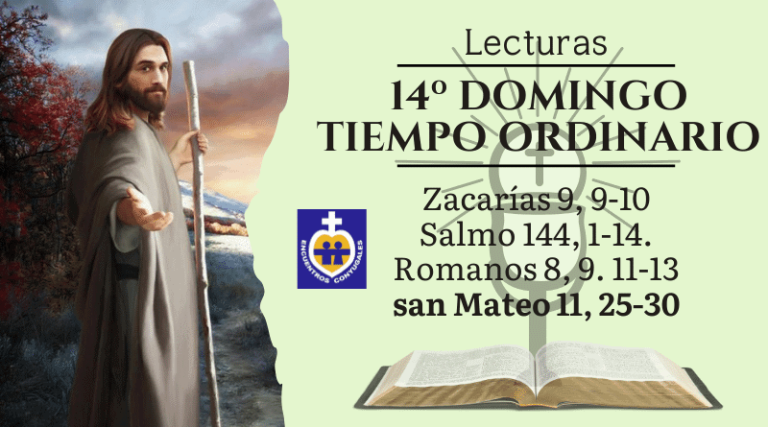evangelio del domingo