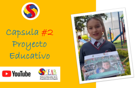 Capsula 2